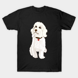 Cavapoo Cavoodle  Cavapoochon white doodle - cute cavalier King Charles spaniel Bichon frise T-Shirt